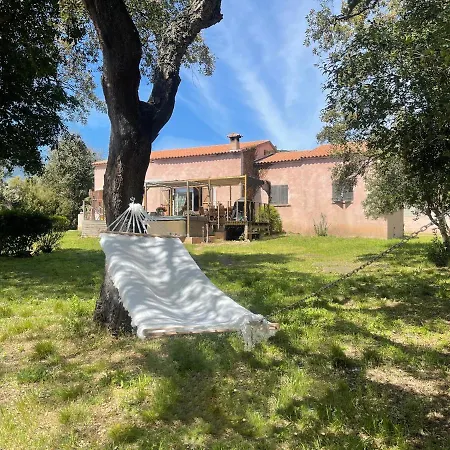 Chez Chris Mare & Macchia Homestay